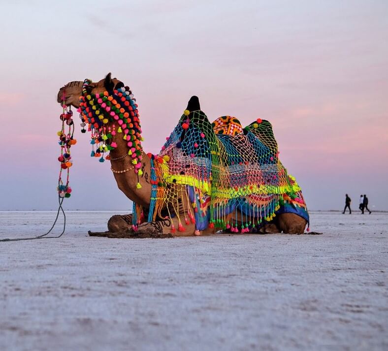 Kutch